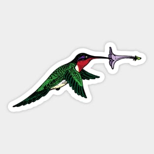 Hummingbird Sticker